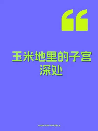 玉米地里的子宫深处