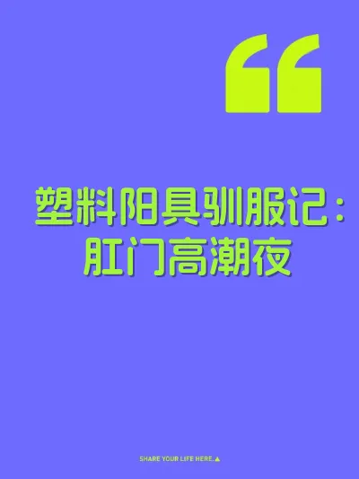 塑料阳具驯服记：肛门高潮夜