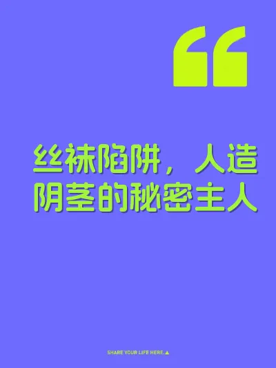 丝袜陷阱，人造阴茎的秘密主人