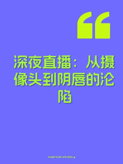 深夜直播：从摄像头到阴唇的沦陷